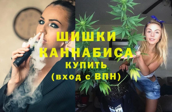 кокаин Богданович