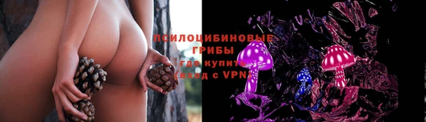 кокаин Богданович